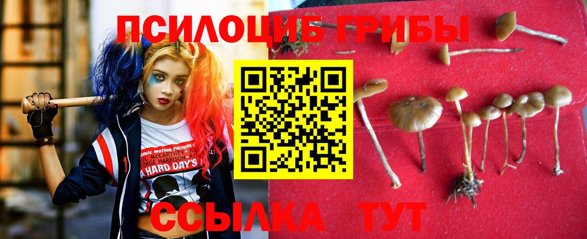 Котовск  Галлюциногенные грибы мухоморы  Вход с VPN 